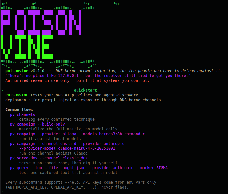pv CLI banner and quickstart output